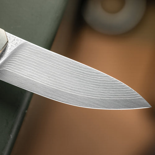 Anso Isola Elite San Mai TAD Edition