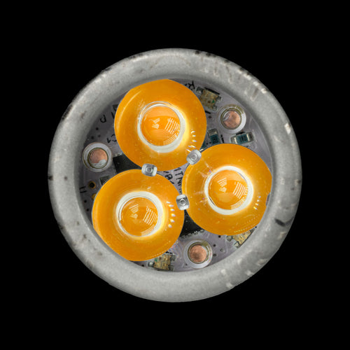 CWF Peanut TAD Edition Titanium Topo