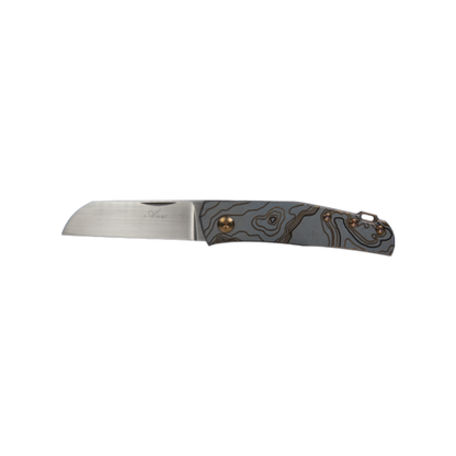 Anso Monte Carlo TAD Edition