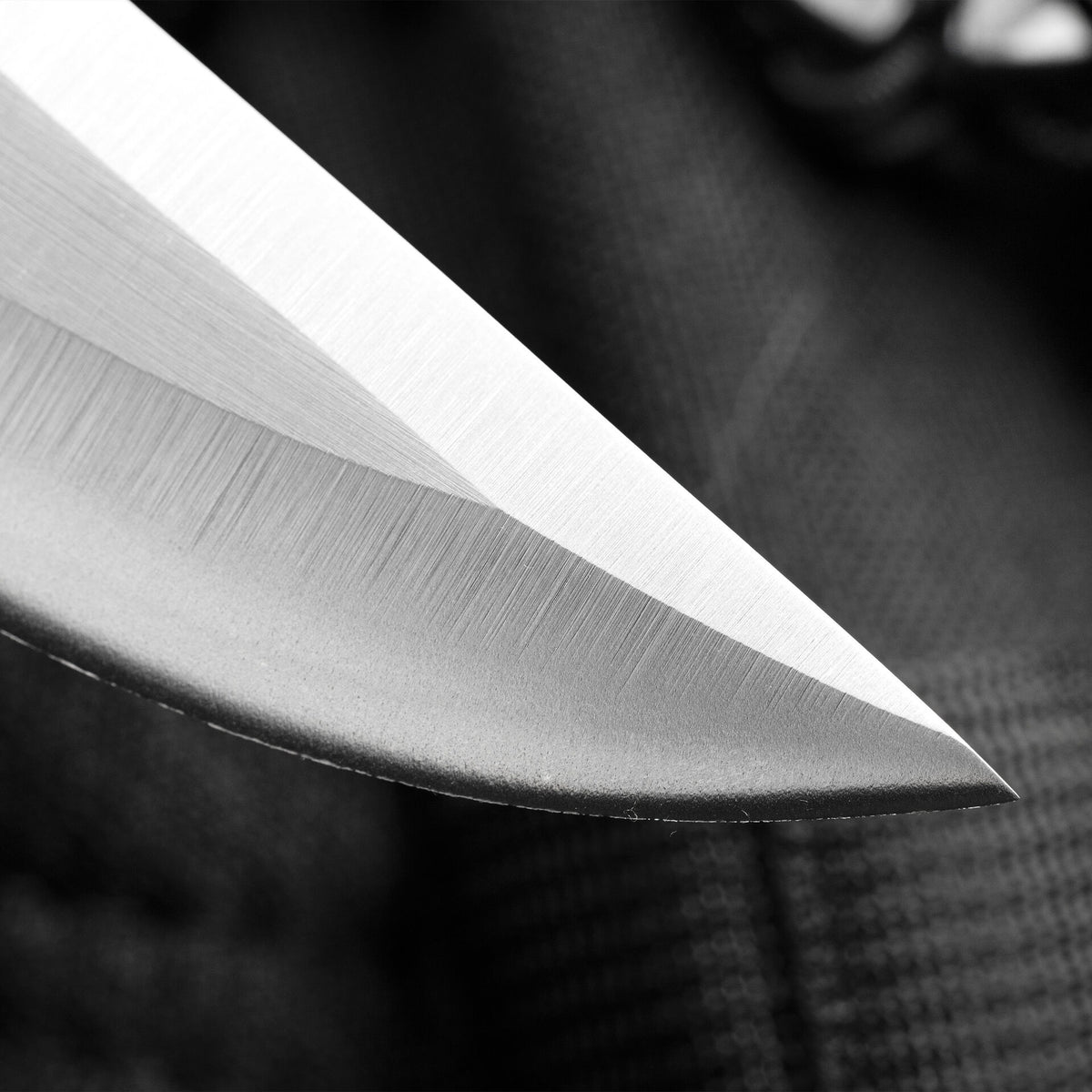 Ban Tang Ti Bowie TAD Edition