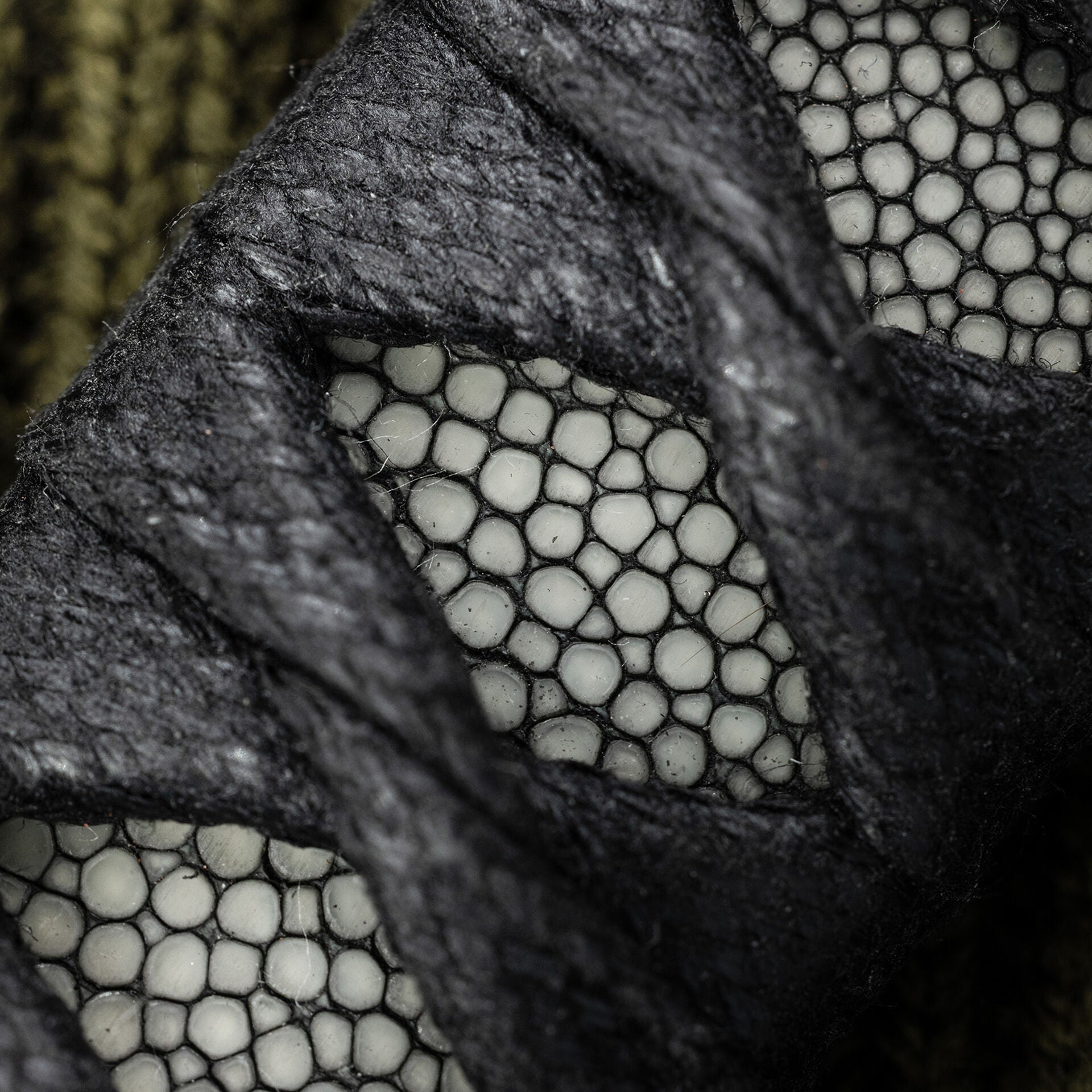 Windy Raven Wizard Finger SE TAD Edition