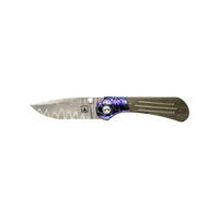 LumaBlades Covert LL TAD Edition