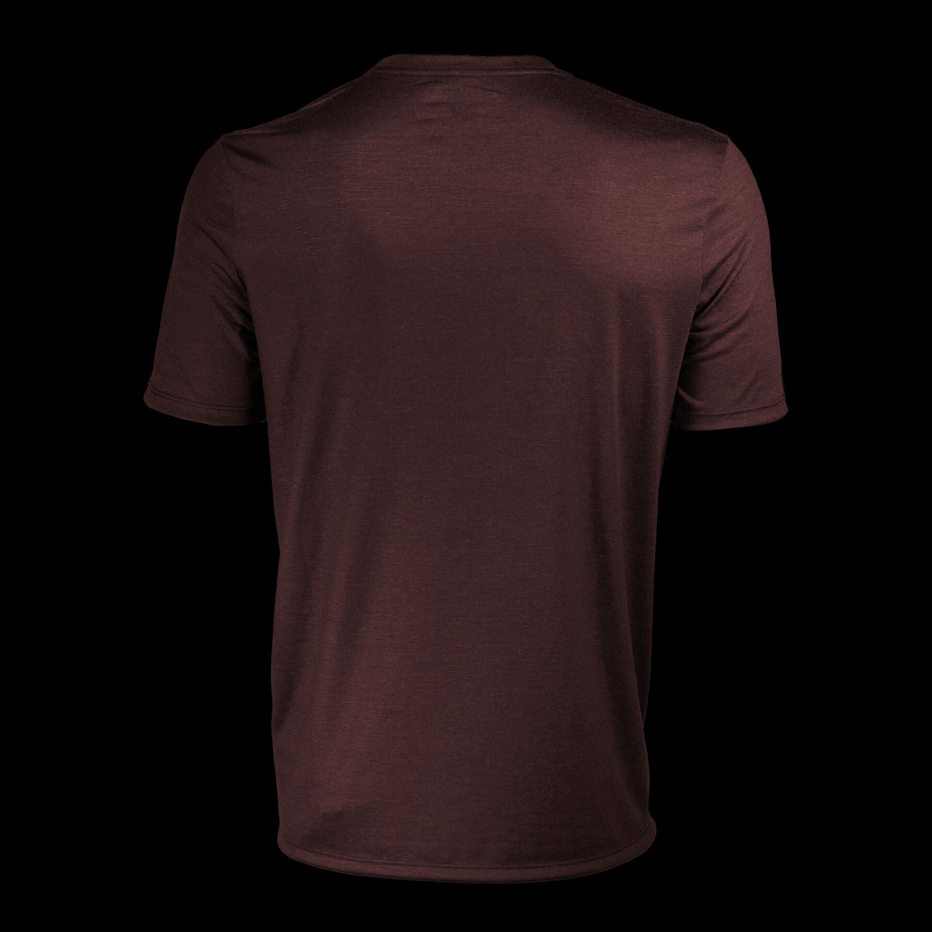 Prism Merino Tech-T